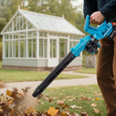 Livingandhome Cordless Handheld Leaf Blower with 2 Batteries