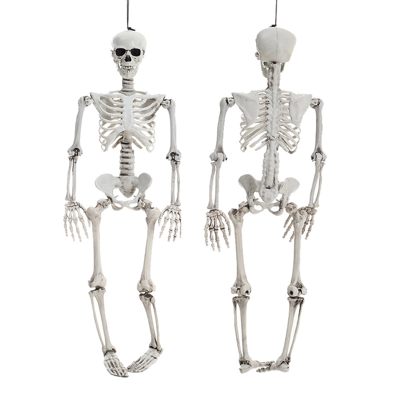 Halloween Realistic Full Body Skeleton Prop Decoration Posable Joints