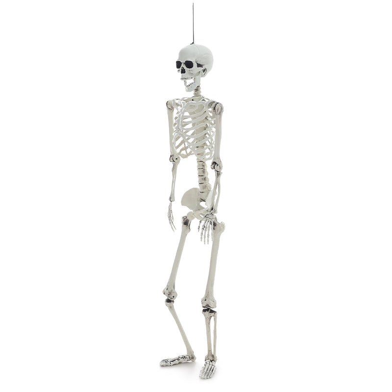 Posable Full Body Skeleton Prop