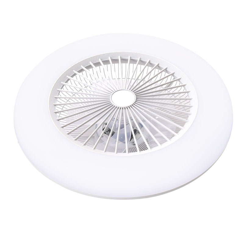 Cottonfy UK Acrylic Ceiling Fan Light with Dimming