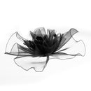 Black Vintage Fashion Fascinator