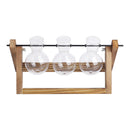 Lifeideas Modern 3pcs Bulb Glass Terrariums with Wood Stand Set