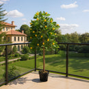 Breeins Lifelike Potted Lemon Tree Ornament