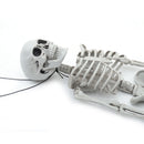 Realistic Posable Hanging Skeleton for Halloween