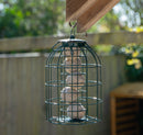 Samuel Alexander Metal Hanging Bird Fat Ball Feeder with Squirrel Guard & Pack of 6 Suet Fat Balls