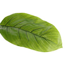 Breeins Artificial Tropical Plant with Plastic Pot