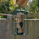 Samuel Alexander Metal Hanging Bird Seed Feeder with Squirrel Guard