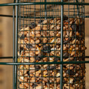 Wild Bird Hanging Nut Feeder with Squirrel Guard