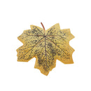 Assorted Halloween Plastic Leaves Pumpkins Set