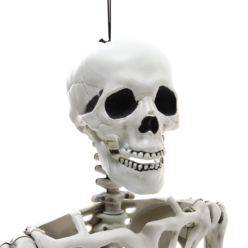 Halloween Realistic Full Body Skeleton Prop Decoration Posable Joints