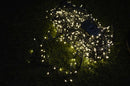 960 LED 12.4m Premier Clusterbrights Indoor Outdoor Multifunction Mains Operated Christmas Cluster Lights with Timer in Warm White