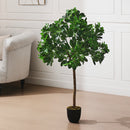 Breeins Schefflera Arboricola Tree in Pot for Decoration