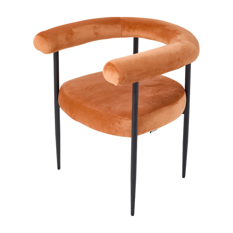 Livingandhome Set of 2 Modern Dining Chairs with Black Metal Legs