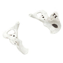 Halloween Realistic Skull and Bone Skeleton Decoration Kit