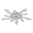 Cottonfy UK Reversible Motor Ceiling Fan with LED Light