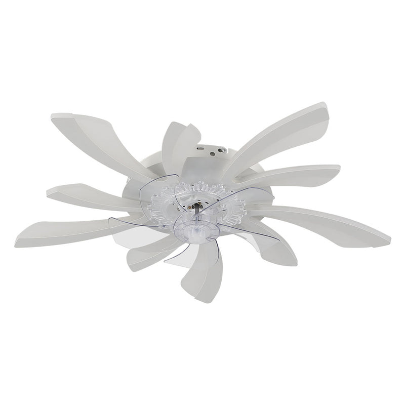 Cottonfy UK Reversible Motor Ceiling Fan with LED Light