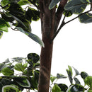 Breeins Artificial Zamioculcas Decorative Plant In Planter