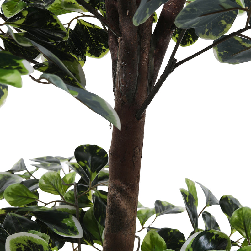 Breeins Artificial Zamioculcas Decorative Plant in Planter