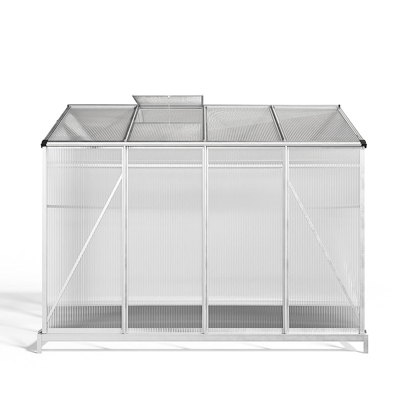 Breeins Backyard Greenhouse with Roof Vent