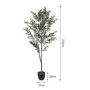Breeins Artificial Olive Tree Decorative Plant in Planter