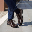 Low-Top Lace-Up Leather Dress Shoes With Pointed Toe - Brown