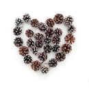 Lifeideas 30-Piece Pine Cone Christmas Tree Hanging Ornament Set