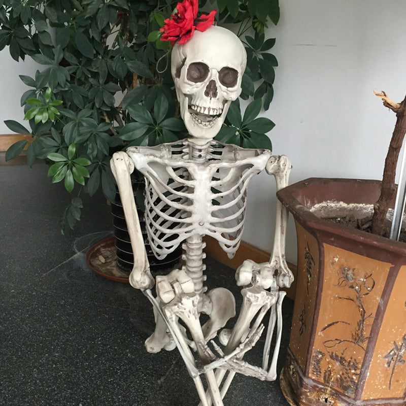 Halloween Realistic Full Body Skeleton Prop Decoration Posable Joints