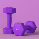 SPORTNOW Set Of 2 Hexagonal Dumbbells Weights Pair, 2 X 4kg, Purple