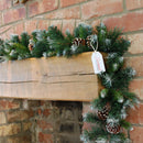 270cm X 25cm Samuel Alexander Frosted Glacier Christmas Garland With Pine Cones