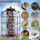 Wild Bird Fat Ball Feeder with Squirrel Guard