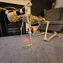 5ft (150cm) Posable Full Body Halloween LED Skeleton Decoration with Movable Joints and LED Eyes