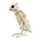 Halloween Owl Skeleton Prop