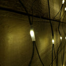 1.7m x 1.2m 180 LED Indoor Outdoor Multifunction Christmas Net Light with Timer in Warm White