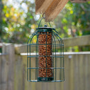 Samuel Alexander Metal Hanging Bird Nut Feeder with Squirrel Guard