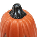 Battery Operated Pumpkin Light Lantern