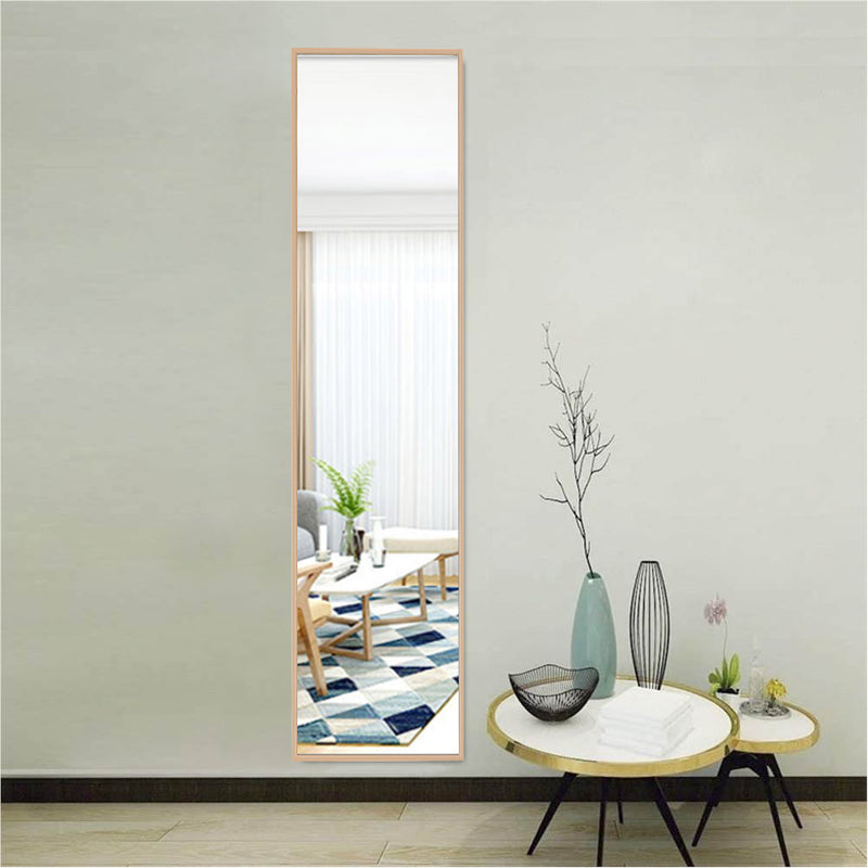 Livingandhome Metal Frame Over the Door Full Length Mirror