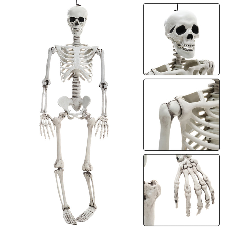 Halloween Realistic Full Body Skeleton Prop Decoration Posable Joints