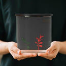 PawHut Fish Tank, 3L Nano Aquarium Starter Kit with Filter System, LED Light