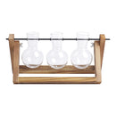 Lifeideas Modern 3pcs Bulb Glass Terrariums with Wood Stand Set