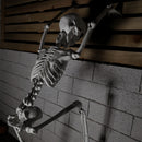 90cm (3ft) Posable Full Body Halloween Skeleton Decoration With Movable Joints