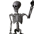 90cm (3ft) Posable Full Body Halloween Skeleton Decoration With Movable Joints