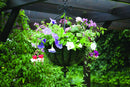 35cm Large Black Metal Spanish Garden Wall Hanging Basket