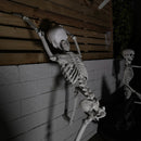 90cm (3ft) Posable Full Body Halloween Skeleton Decoration With Movable Joints