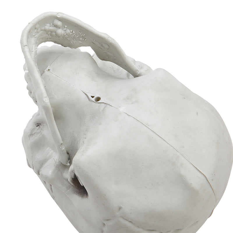 Halloween Realistic Plastic Skull Tabletop Decoration