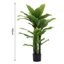 Breeins Artificial Tropical Plant with Plastic Pot