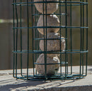 Samuel Alexander Metal Hanging Bird Fat Ball Feeder with Squirrel Guard & Pack of 6 Suet Fat Balls