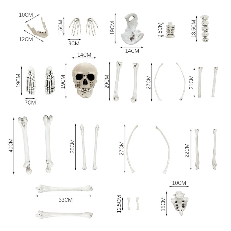 Halloween Realistic Skull and Bone Skeleton Decoration Kit