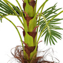 Garden Sanctuary Artificial Palm Tree Fake Greenery Decoration for Home