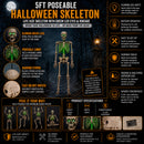 5ft (152cm) Battery Powered Light up Halloween Skeleton with Poseable Joints & Green LEDs