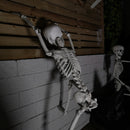 90cm (3ft) Posable Full Body Halloween Skeleton Decoration With Movable Joints